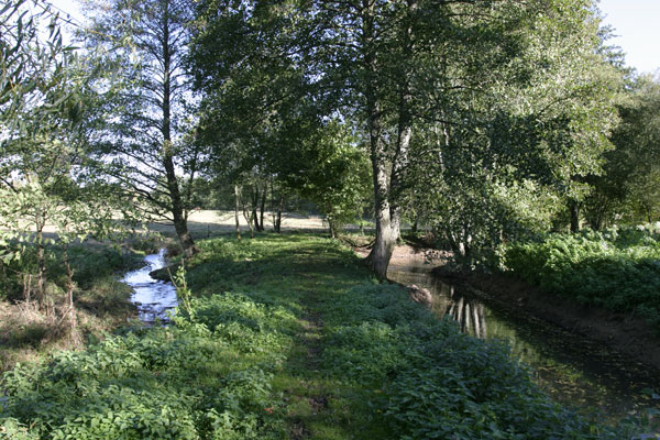 Environnement du site